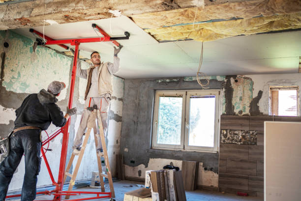 Best Residential Insulation in Burlington, WI